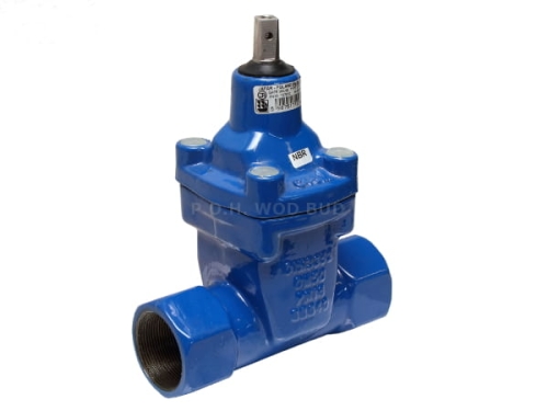 Zasuwa GW/GW GGG/EPDM 2" PN16 3116