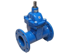 Zasuwa F5 GGG/EPDM DN 80 PN16 2002 Jafar