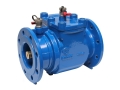 Zawór zwrotny antyskażeniowy DN100 EA 1300 