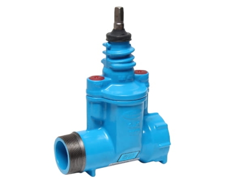 Zasuwa gwintowana do przyłączy GW/GZ GGG/EPDM 2" PN16 2520